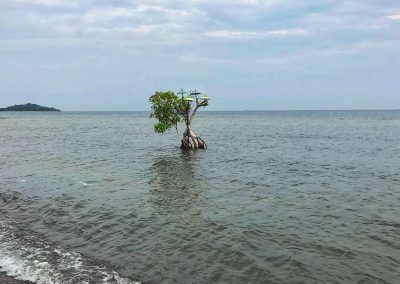 Spaziergang am Strand von Pemuteran