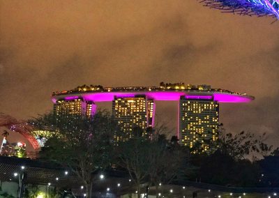 Aussicht auf das berühmte Marina Bay Sands Hotel von Gardens by the sea aus