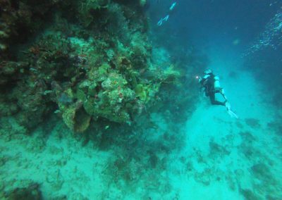 Tauchen in Menjangan Island