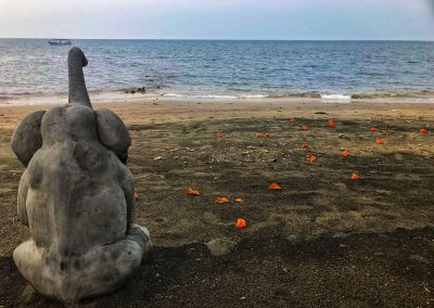 Spaziergang am Strand von Pemuteran