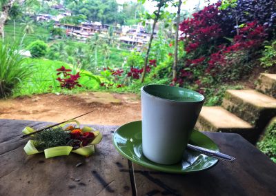 Kopi Luwak Kaffee in den Reisterrassen